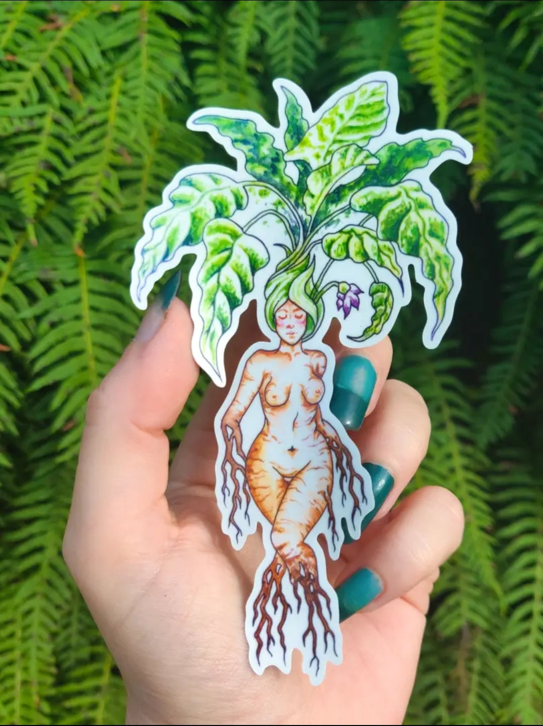 Mandrake - Sticker