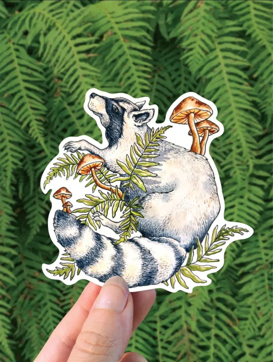 Raccoon Forager - Sticker