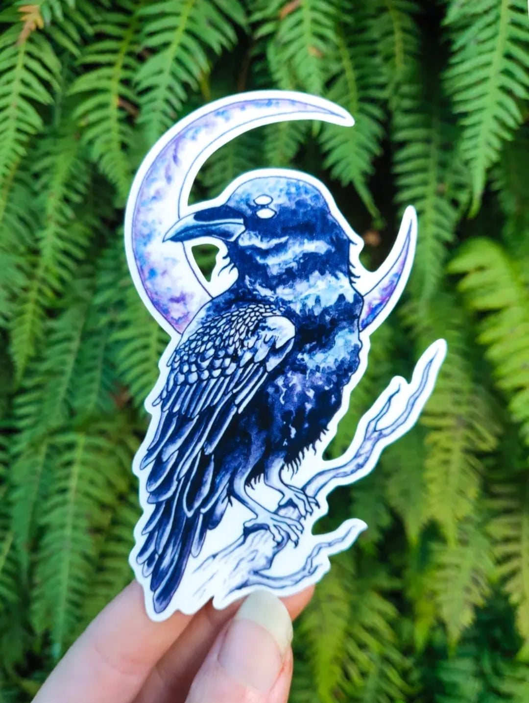 Raven Sight - Sticker