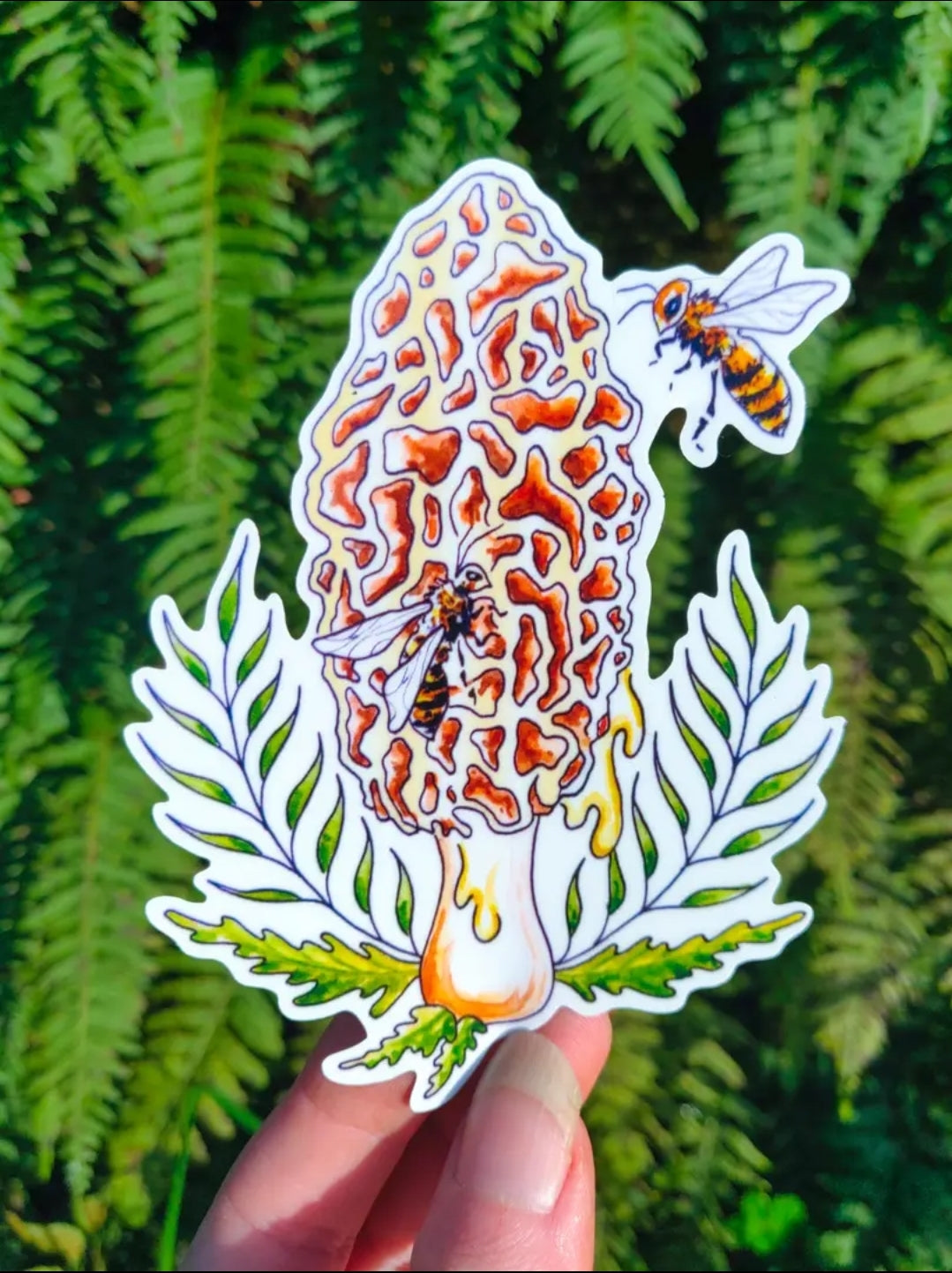 Honey Morel - Sticker