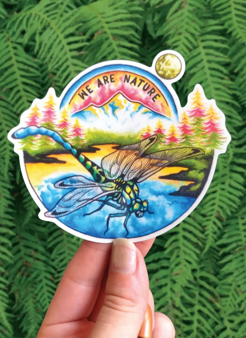 Dragonfly dream - Sticker