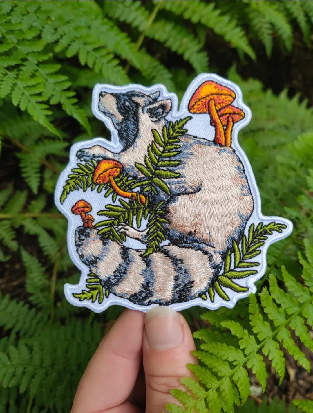 Racoon forager - Patch